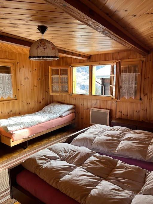 Chalet 3 Pieces De Caractere Mayoux Exterior photo